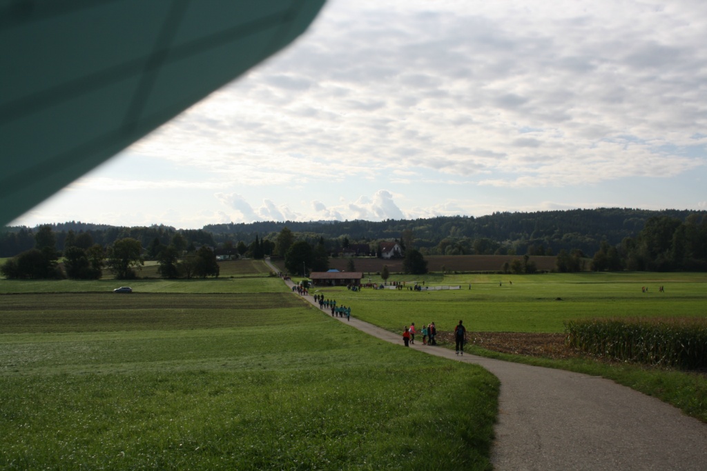 Bild 1 (41)